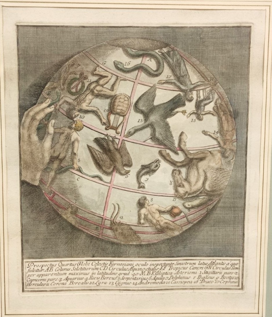 Stampa, acquarellata, Prospectus, Quartus, Globi, Celestis, ab, Atlante, Farnesiano, quarto, prospetto, del, globo, celeste, Atlante, Farnese, pubblicato, 1750, stampa, cornice, incisione, su, lastra, colorata, acquerello, Italia, XVIII, XIXsec