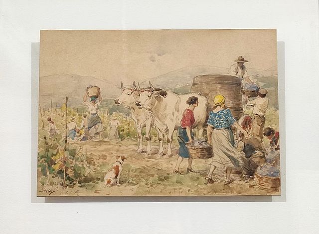 Achille, Beltrame, Società, Anonima, Grandine, Assicurazioni, Generali, raccolta, delluva, disegno, acquerello, biacca, 1926, 1927, almanacco, illustrato, 