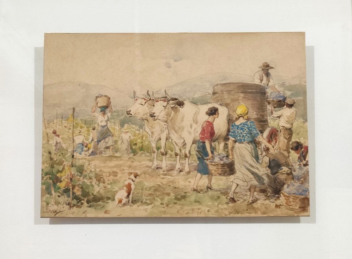 Achille, Beltrame, Società, Anonima, Grandine, Assicurazioni, Generali, raccolta, delluva, disegno, acquerello, biacca, 1926, 1927, almanacco, illustrato,