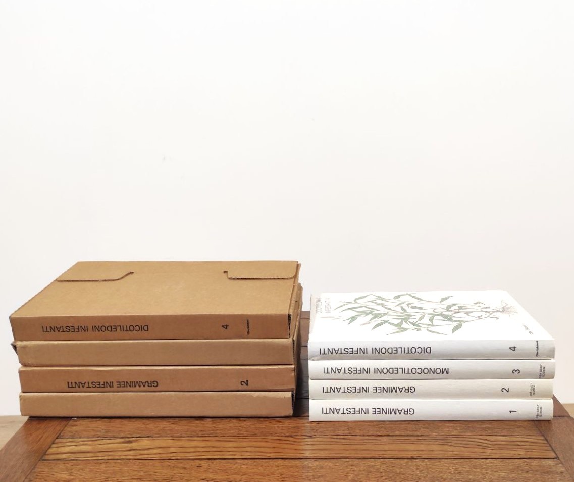 graminee, infestanti, monocotiledoni, infestanti, pubblicazione, scientifica, erbe, infestanti, riferimento, riconoscere, gestire, malerbe, opera, completa, 4voll, Edizioni, CIBA-GEIGY, CibaGeigy, 1985, IVvol, CibaEdizioni, 1992, 4lingue, italiano, tedesco, francese, inglese, illustrazioni, tavole, colori, agricoltura, 